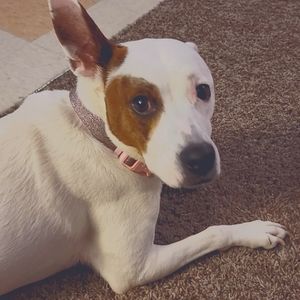 ANY 5 FOR $55! Conditions Listed Below!